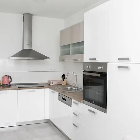 Apartment Radic *